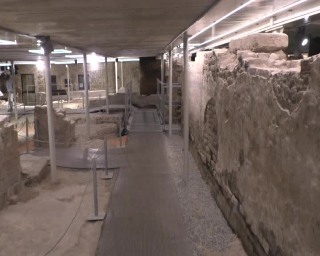 Il Museo d’Antichità di Torino festeggia i suoi primi tre secoli